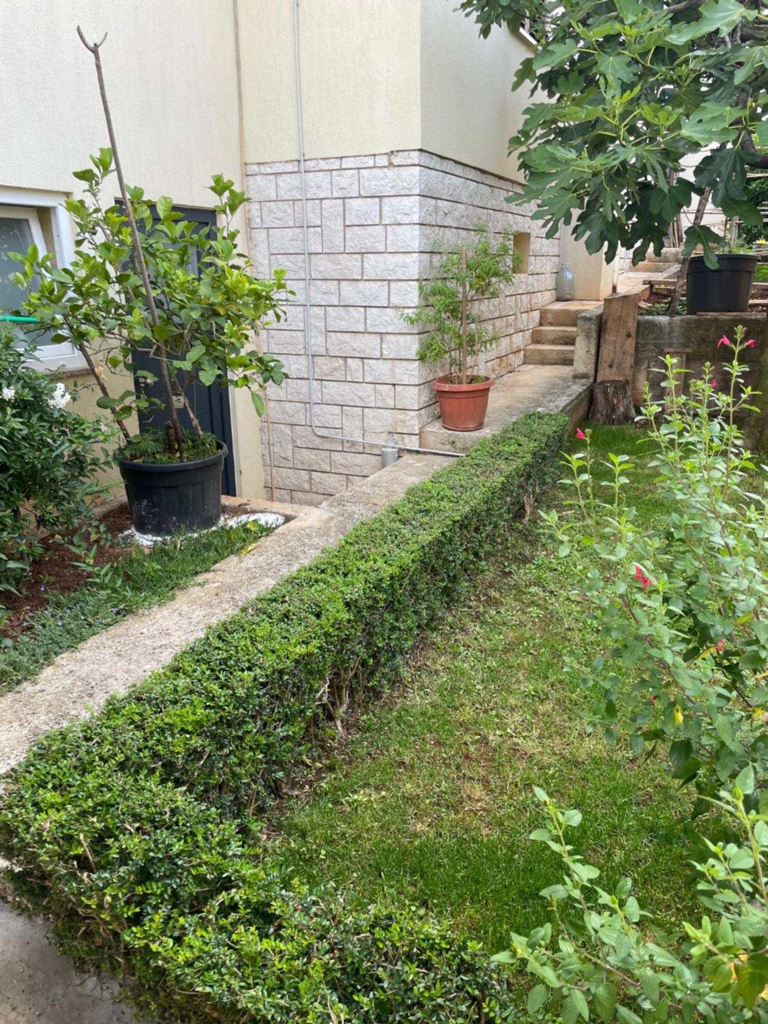Apartmani Darko Rovinj Bagian luar foto